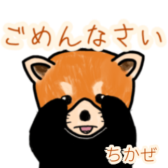 Chikaze's lesser panda