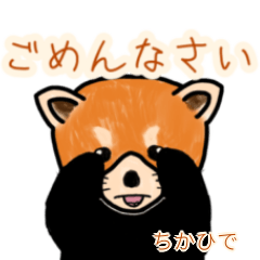 Chikahide's lesser panda