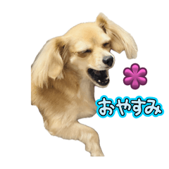 Saori_20250501221845
