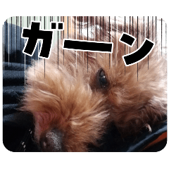 saku_20250501194104