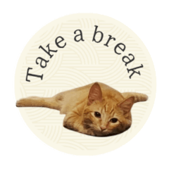 Orange tabby cat Finn(EN)