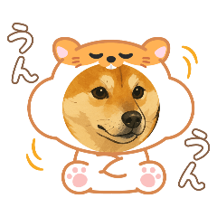 PePe_20250501161407