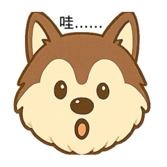 棕哥的心聲