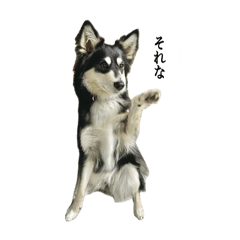 una_20250502000214