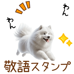 敬語のサモエドスタンプ