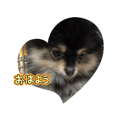 ponta_20250501205811
