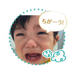 r.n_20250501205619