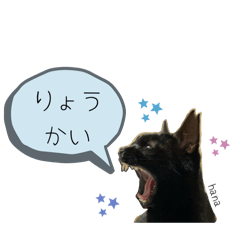 shiho_20250501205702