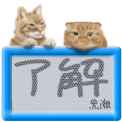 「黒瀬」リアルふわ猫でか文字日常