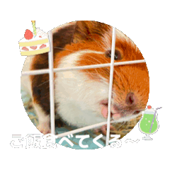 Masa_20250501203615