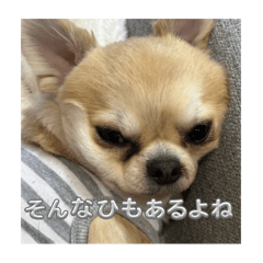 yu_20250502001306