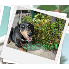 Reiko_20250502002143