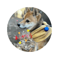 saya_20250501224113