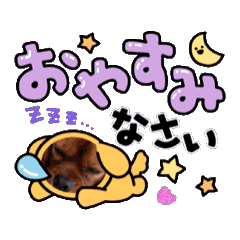 bon bon happy