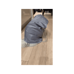 omochi_20250502002641