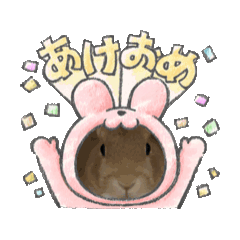 pon_20250502045150