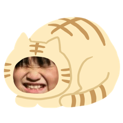 絮絮絮絮絮