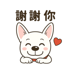 小白日常之小白在身邊
