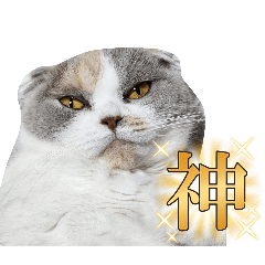 miya_20250501171414