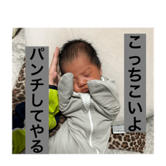 MS_20250501225321