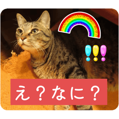 moka_20250501225719