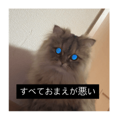 Amo_20250502023552