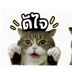 Supakit Ninkwan_20250501150324