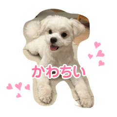 tororonomama_20250502063810