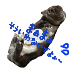 tono_20250501182123