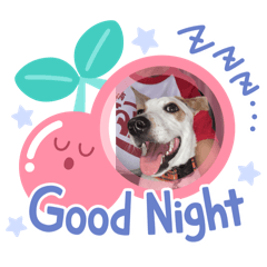 Banana_20250501163510