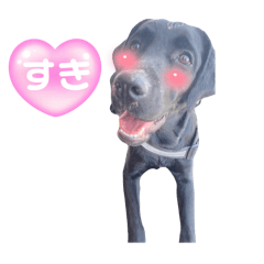Rena_20250502081614