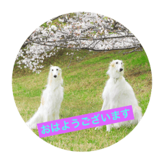 y_20250502083033