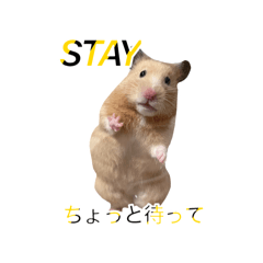 no_20250502083127
