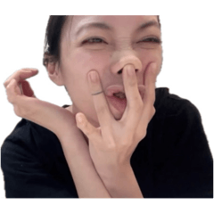 臺虎第二美