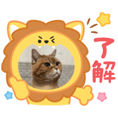 嘻嘻哈哈123123