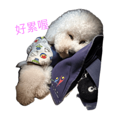 Jubi的懶散日誌