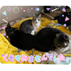 hi_20250502111801