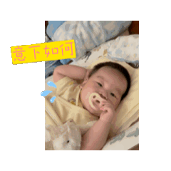 小龍貓兒3
