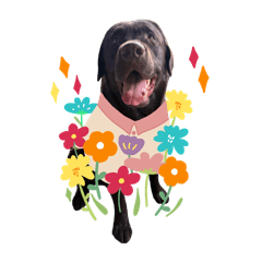 Ciaw Labrador ver.2