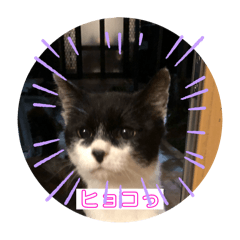 Rui_20250501200103
