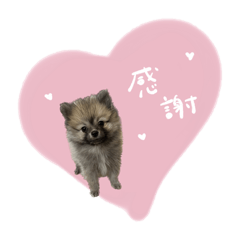 aichan_20250501200306