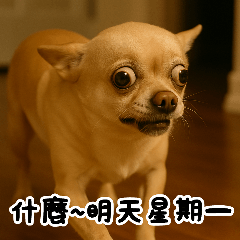 Funny Animals Reply