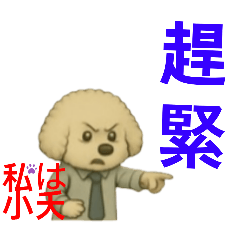small_20250501143513