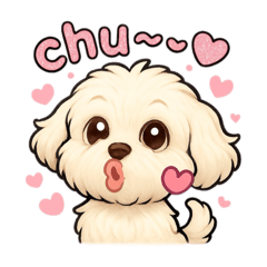 i<3BiBi