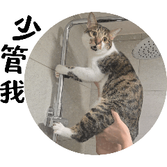 我的調皮毛小孩