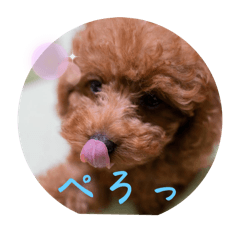 Rui_20250501213101