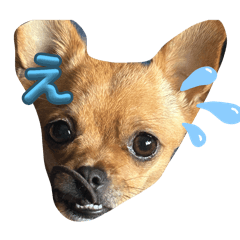 UMEKOSUTANPU