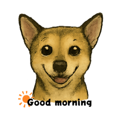 Mixed dog