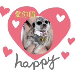 掰GG