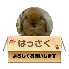 yuzu_20250501231906
